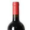 (1) 2020 Podere Grattamacco Bolgheri Superiore, Tuscany - 5