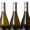 (3) 2021 Henri Bourgeois La Cote des Monts Damnes Sancerre - 5