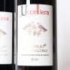 (2) 2016 Uccelliera Brunello di Montalcino, Tuscany - 2