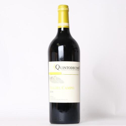 (1) 2018 Quintodecimo Via del Campo Irpinia Falaghina, Campania