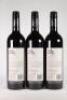 (3) 2013 Esk Valley Winemaker's Reserve Merlot/Cabernet Sauvignon/Malbec, Hawkes Bay - 3