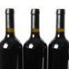 (6) 2017 Turanga Creek Les Vendanges Merlot, Hawkes Bay - 5