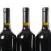 (6) 2017 Turanga Creek Les Vendanges Merlot, Hawkes Bay - 6