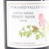 (1) 2009 Pyramid Valley Vineyards Earth Smoke Pinot Noir, Waikari - 2
