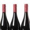 (3) 2006 Pyramid Valley Vineyards Angel Flower Pinot Noir, Waikari - 6