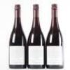 (3) 2008 Pyramid Valley Vineyards Angel Flower Pinot Noir, Waikari - 3