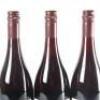 (3) 2008 Pyramid Valley Vineyards Angel Flower Pinot Noir, Waikari - 5