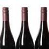 (3) 2010 Pyramid Valley Vineyards Cowley Family Vineyard Pinot Noir, Marlborough - 5
