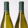 (2) 2021 Jacques Carillon Puligny Montrachet, Cote de Beaune - 4
