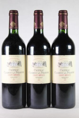 (3) 2002 Chateau Cambon la Pelouse, Haut Medoc