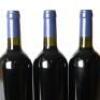 (12) 2002 Stonyridge Vineyard Larose, Waiheke - 6