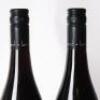 (4) 2019 Lamont Pinot Noir, Bendigo - 7