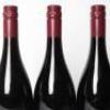(3) 2023 Mondillo Pinot Noir, Bendigo - 5