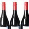 (6) 2009 Bilancia La Collina Syrah, Hawkes Bay - 5