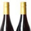 (4) 2013 Moorooduc Estate Pinot Noir, Mornington VIC - 6