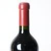(1) 2013 Catena Zapata Adrianna Vineyard Mundus Bacillus Terrae Malbec, Gualtallary Argentina - 5
