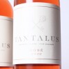 (2) 2022 Tantalus Estate Rose, Waiheke - 2
