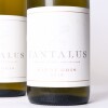 (3) 2019 Tantalus Estate Pinot Gris, Waiheke - 2