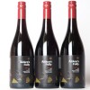 (3) 2019 Aitken's Folly Pinot Noir, Wanaka