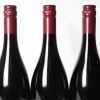 (3) 2023 Mondillo Pinot Noir, Bendigo - 5