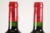 (2) 2008 Chateau Musar, Bekaa Valley Lebanon - 6