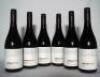 (6) 2017 Clonal Bros Amen Break Zebra Vineyard Pinot Noir, Central Otago