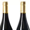 (2) 2020 Sam Harrop Cedalion Jomara Syrah, Waiheke - 5