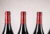 (6) 2008 Alex Gambal Chambolle Musigny 1er Cru Les Charmes, Cote de Nuits - 8