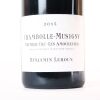 (1) 2013 Benjamin Leroux Chambolle Musigny 1er Cru Les Amoureuses 1500ml, Cote de Nuits - 3
