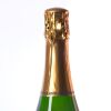 (1) 2002 Pascal Doquet Grand Cru Le Mesnil-Sur-Oger Blanc de Blancs Brut - 6