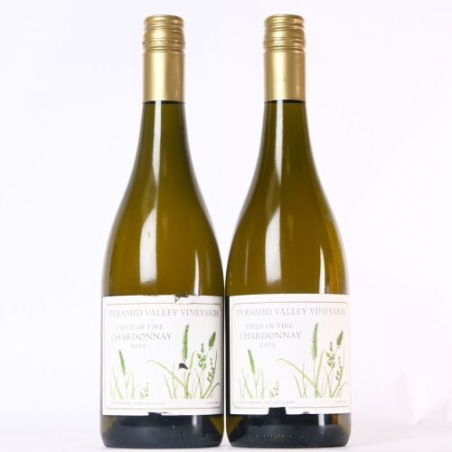 (2) 2013 Pyramid Valley Vineyards Field of Fire Chardonnay, Waikari