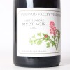(1) 2014 Pyramid Valley Vineyards Earth Smoke Pinot Noir, Waikari - 2