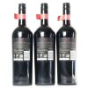 (3) 2013 Church Road Grand Reserve Cabernet Sauvignon/Merlot/Malbec, Hawkes Bay - 17