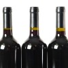 (3) 2017 Turanga Creek Les Vendanges Merlot, Hawkes Bay - 5