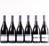 (1) Rippon Tinker's Field Pinot Noir, Wanaka Vertical 2008 - 2013 (6 pack)