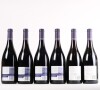 (1) Rippon Tinker's Field Pinot Noir, Wanaka Vertical 2008 - 2013 (6 pack) - 8