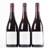 (3) 2008 Pyramid Valley Vineyards Angel Flower Pinot Noir, Waikari - 3