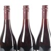 (3) 2008 Pyramid Valley Vineyards Angel Flower Pinot Noir, Waikari - 5
