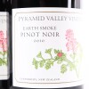 (3) 2010 Pyramid Valley Vineyards Earth Smoke Pinot Noir, Waikari - 2
