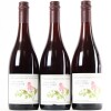 (3) 2009 Pyramid Valley Vineyards Earth Smoke Pinot Noir, Waikari