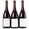 (3) 2009 Pyramid Valley Vineyards Earth Smoke Pinot Noir, Waikari - 3