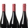 (3) 2006 Pyramid Valley Vineyards Angel Flower Pinot Noir, Waikari - 6
