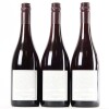 (3) 2014 Pyramid Valley Vineyards Angel Flower Pinot Noir, Waikari - 3