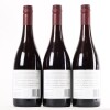 (3) 2016 Pyramid Valley Vineyards Angel Flower Pinot Noir, Waikari - 3