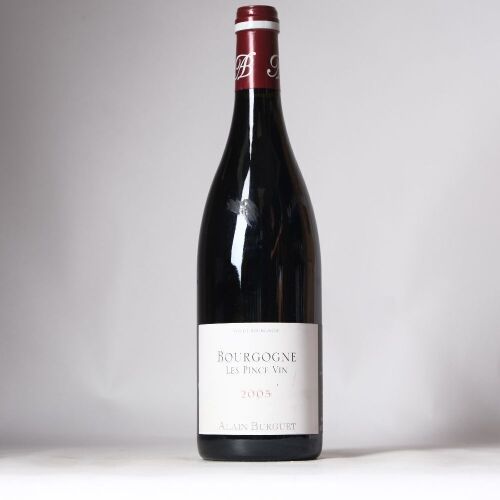 (1) 2005 Jean-Luc & Eric Burguet Bourgogne Les Pince Vin, Burgundy