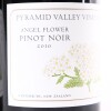 (2) 2010 Pyramid Valley Vineyards Angel Flower Pinot Noir, Waikari - 2