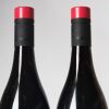 (2) 2020 Easthope Family Winegrowers Two Terraces Vineyard Gamay, Hawke's Bay - 3