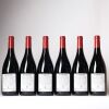 (6) 2019 Devotus Reserve Pinot Noir, Martinborough - 2