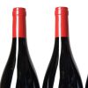 (4) 2020 Devotus Reserve Pinot Noir, Martinborough - 3