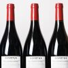 (6) 2021 Devotus Reserve Pinot Noir, Martinborough - 4